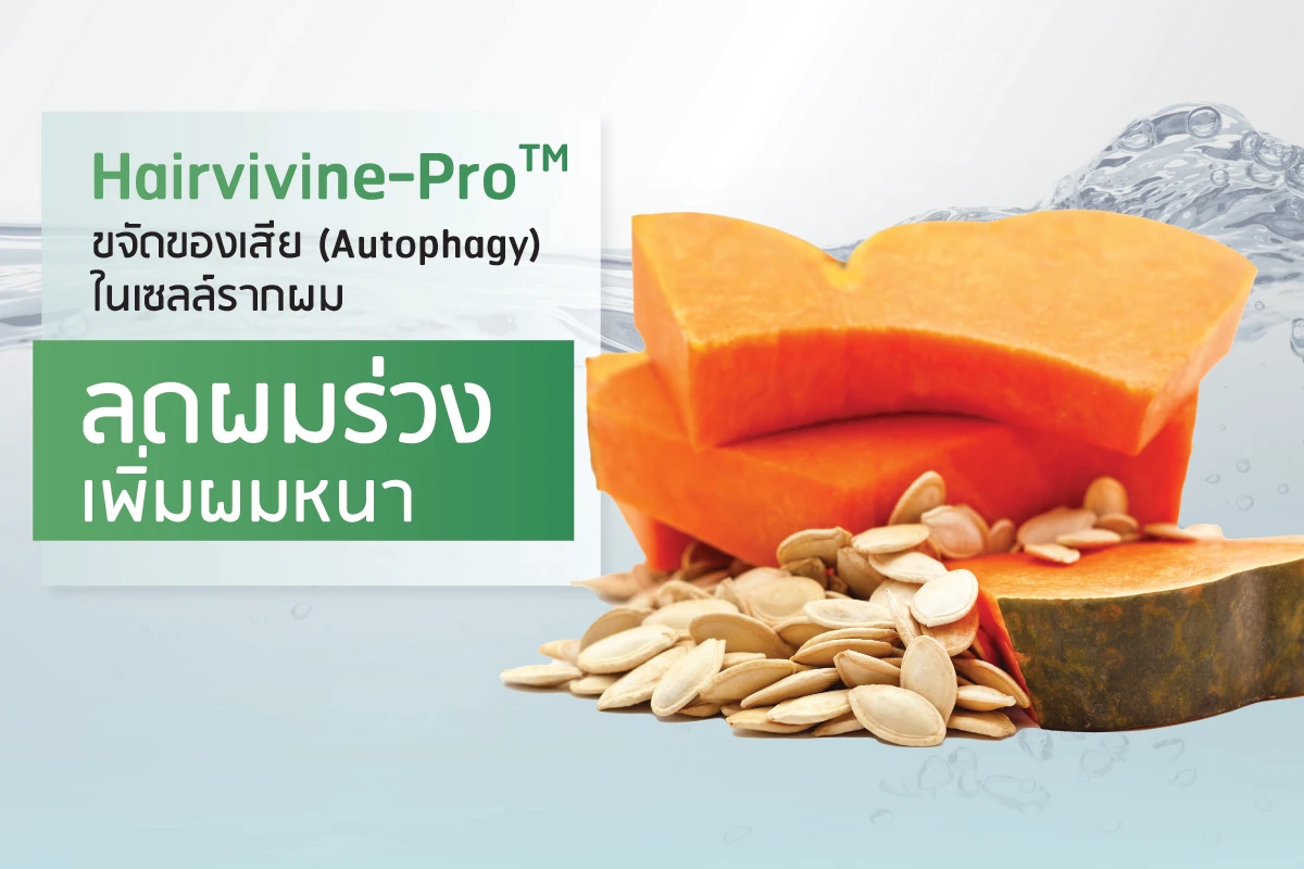 Hairvivine-ProTM ขจัดของเสีย (Autophagy) ในเซลล์รากผม ลดผมร่วง เพิ่มผมหนา