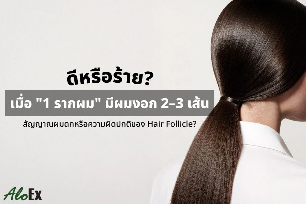Good or bad — when one follicle grows 2–3 strands?