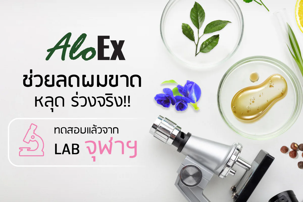 ထိုင်းဆေးဖက်ဝင်အပင်များက ဆံပင်ကျွတ်ခြင်းကို ဘယ်လိုလျှော့ချပေးသလဲ။ AloEx သည် ၎င်းတို့ကို Chulalongkorn တက္ကသိုလ် ဓာတ်ခွဲခန်းသို့ ပို့၍ စမ်းသပ်ခဲ့ရာ ထိုင်းဆေးဖက်ဝင်အပင်များတွင် ဆံပင်ကျွတ်ခြင်းကို ထိရောက်စွာ လျှော့ချပေးနိုင်သော အကျိုးကျေးဇူးများစွာ ရှိကြောင်း တွေ့ရှိခဲ့သည်။