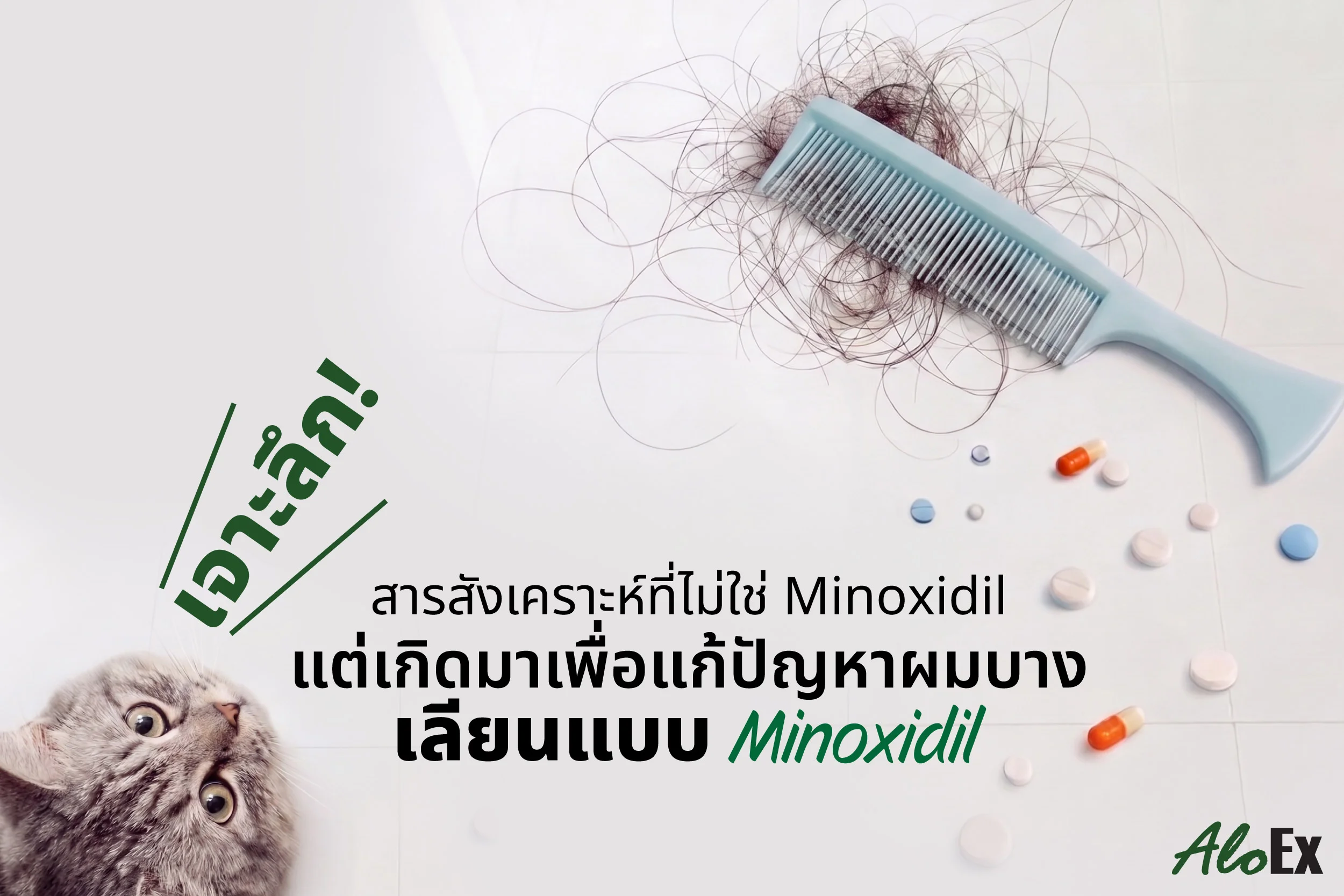 အသေးစိတ်လေ့လာချက် — Minoxidil မဟုတ်သော်လည်း Minoxidil ကဲ့သို့ ဆံပင်ကျဲခြင်းကို ကူညီဖြေရှင်းရန် တီထွင်ထားသည့် ဓာတုဆေးဖော်ဝါ activatives များ