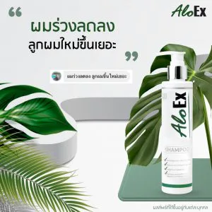 ผมร่วงลดลง ลูกผมใหม่ขึ้นเยอะ