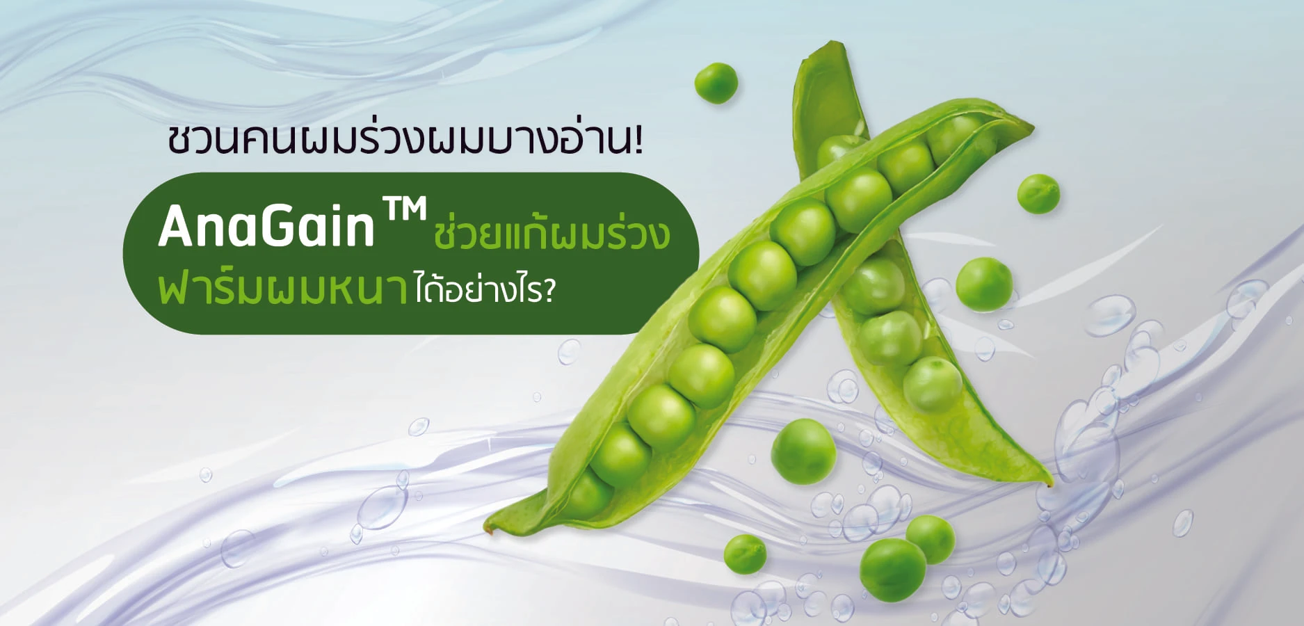 ဆံပင်ပါးသူများ ဖတ်ဖို့ဖိတ်ခေါ်ပါတယ်! AnaGain™ က ဆံပင်ကျွတ်ခြင်းကို ကူညီဖြေရှင်းပြီး ဆံပင်ထူလာစေပုံ