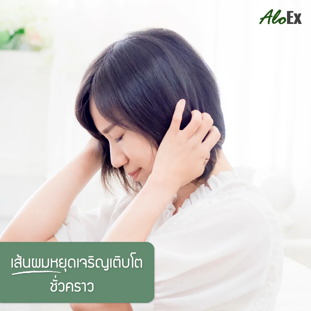 ဆံပင်ကျွတ်မှု ပြင်းထန်စေသော အကြောင်းရင်း ၉ ချက် — ၀၉