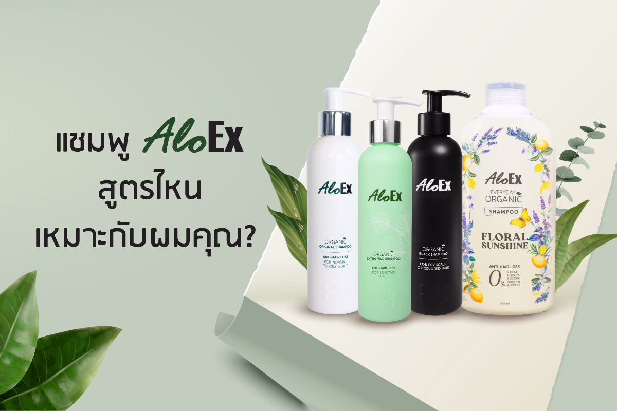 เทียบให้ชัด! แชมพูลดผมร่วง AloEx สูตรไหนที่ใช่สำหรับศีรษะและเส้นผมคุณ