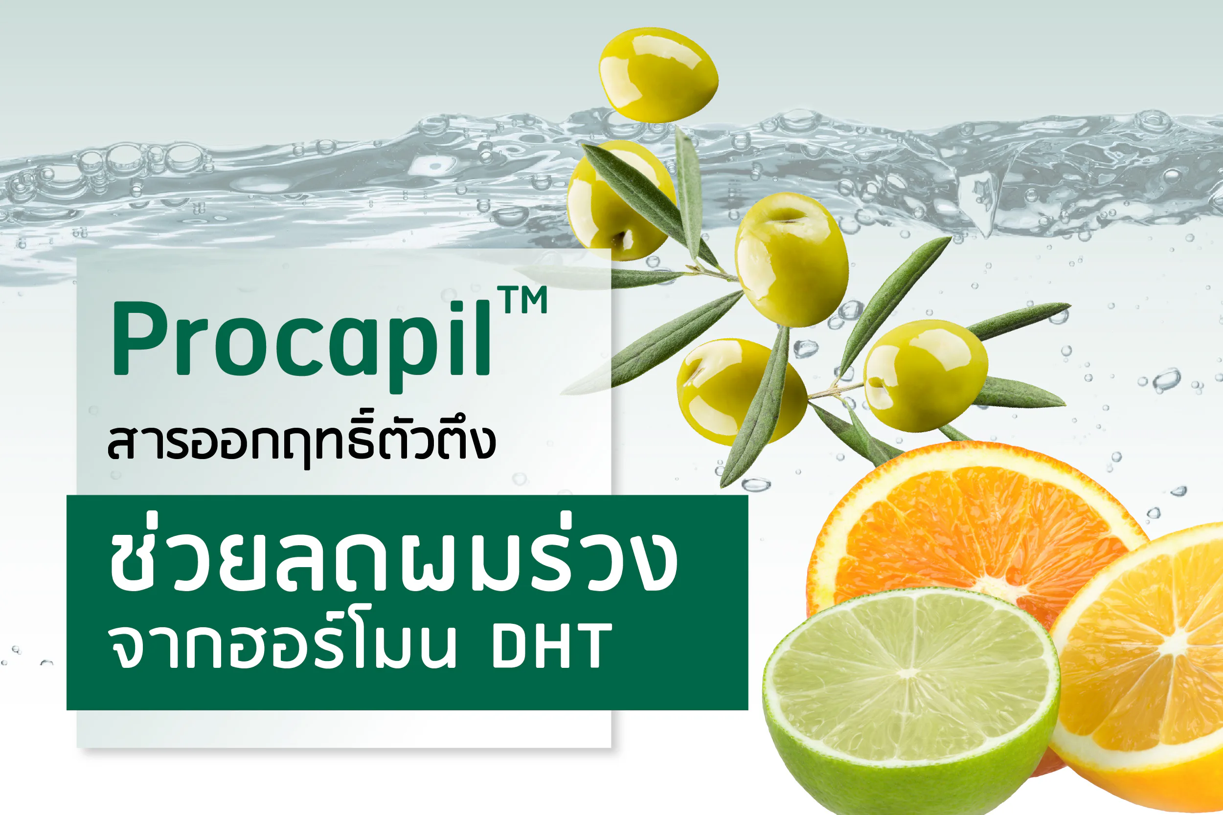 Procapil™ အာနိသင်ပါဝင်ပစ္စည်း- DHT ဟော်မုန်းကြောင့်ဖြစ်သော ဆံပင်ကျွတ်ခြင်းကို လျှော့ချရန် ကူညီပေးသည်။