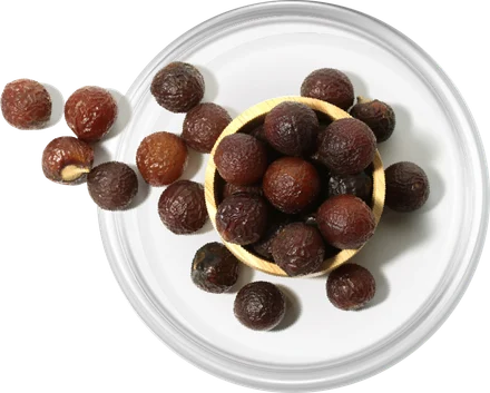 Soapberry