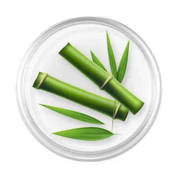 Bamboo