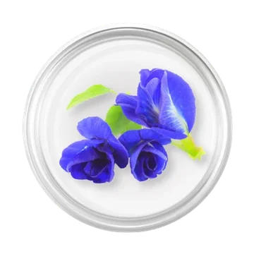 Butterfly Pea