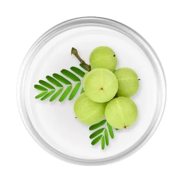 Indian Gooseberry