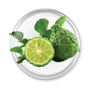 Kaffir Lime