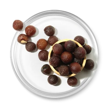 Soapberry