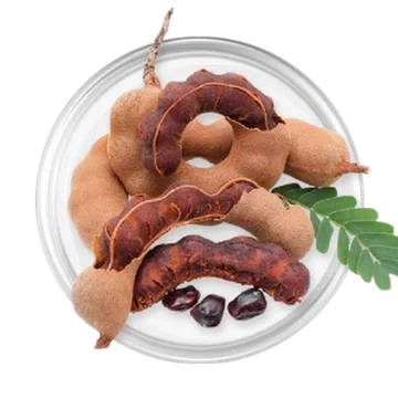 Tamarind