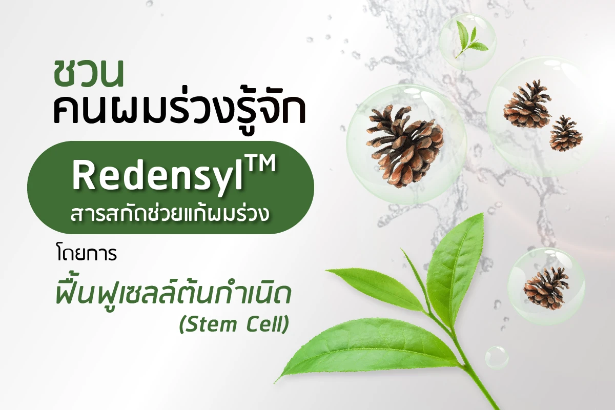 Redensyl™ ကို မိတ်ဆက်ခြင်း — ဆဲလ်အရင်းအမြစ်များကို ပြန်လည်လှုံ့ဆော်ပေးခြင်းဖြင့် ဆံပင်ကျွတ်ခြင်းကို လျှော့ချရန် ကူညီပေးသော အရင်းအမြစ်ဆေးထုတ်ယူချက်။