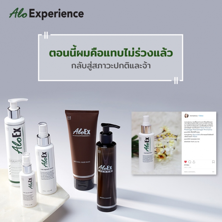 ตอนนี้ผมคือแทบไม่ร่วงแล้ว กลับสู่สภาวะปกติและจ้า