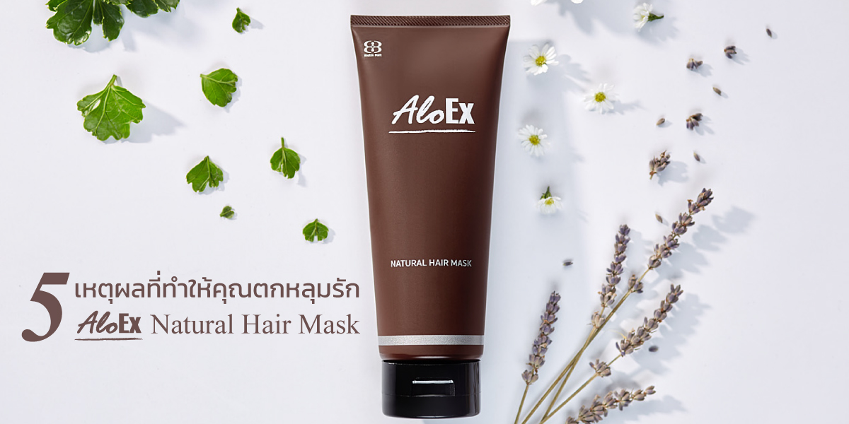 5 เหตุผลที่ทำให้คุณตกหลุมรัก AloEx Natural Hair Mask