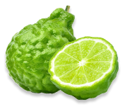 Kaffir lime