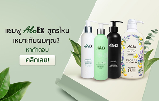 เทียบให้ชัด! แชมพูลดผมร่วง AloEx สูตรไหนที่ใช่สำหรับศีรษะและเส้นผมคุณ