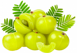 Gooseberry