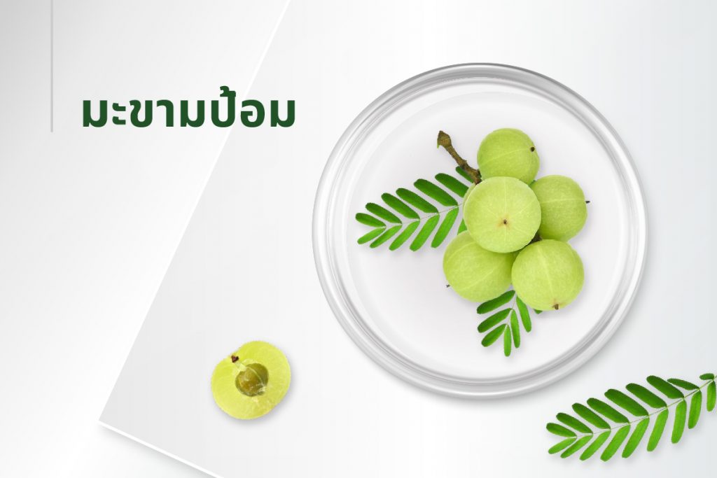 สูตรลับ 15 สารสกัด - มะขามป้อม