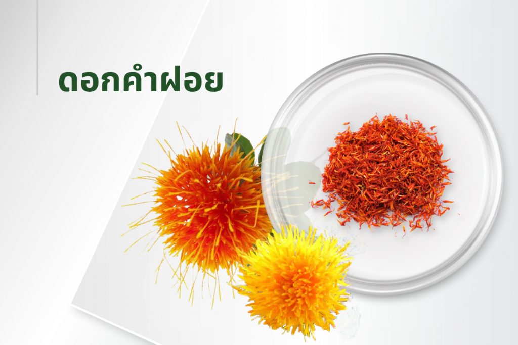 สูตรลับ 15 สารสกัด - ดอกคำฝอย