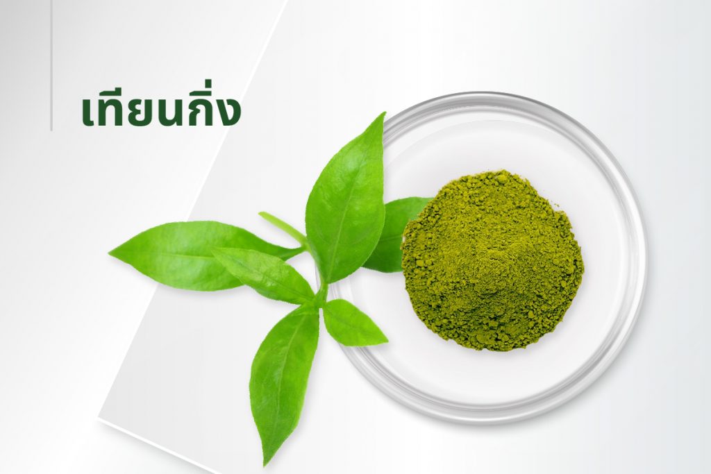 สูตรลับ 15 สารสกัด - เทียนกิ่ง
