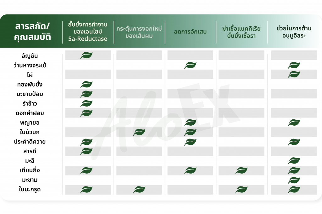 สรุป