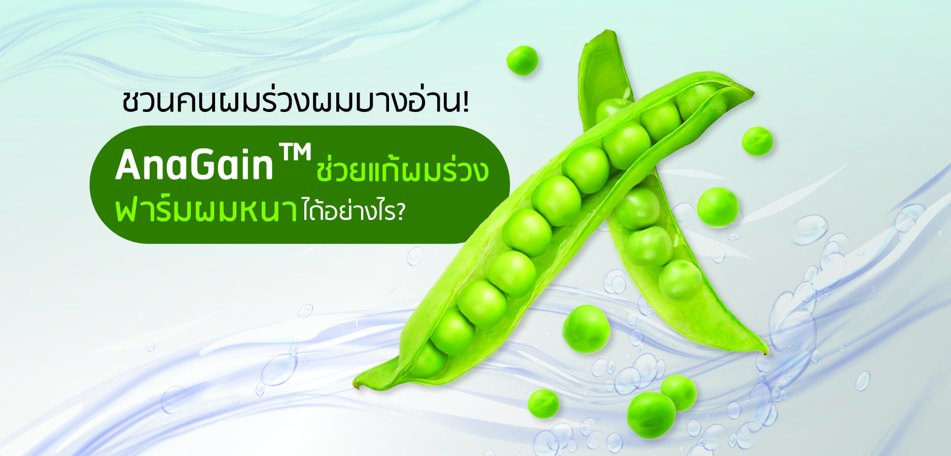 Anagain สารสกัดลดผมร่วง เพิ่มผมหนา