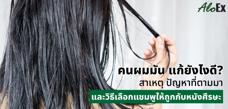 AloEx วิธีเลือกแชมพูสำหรับผมมัน