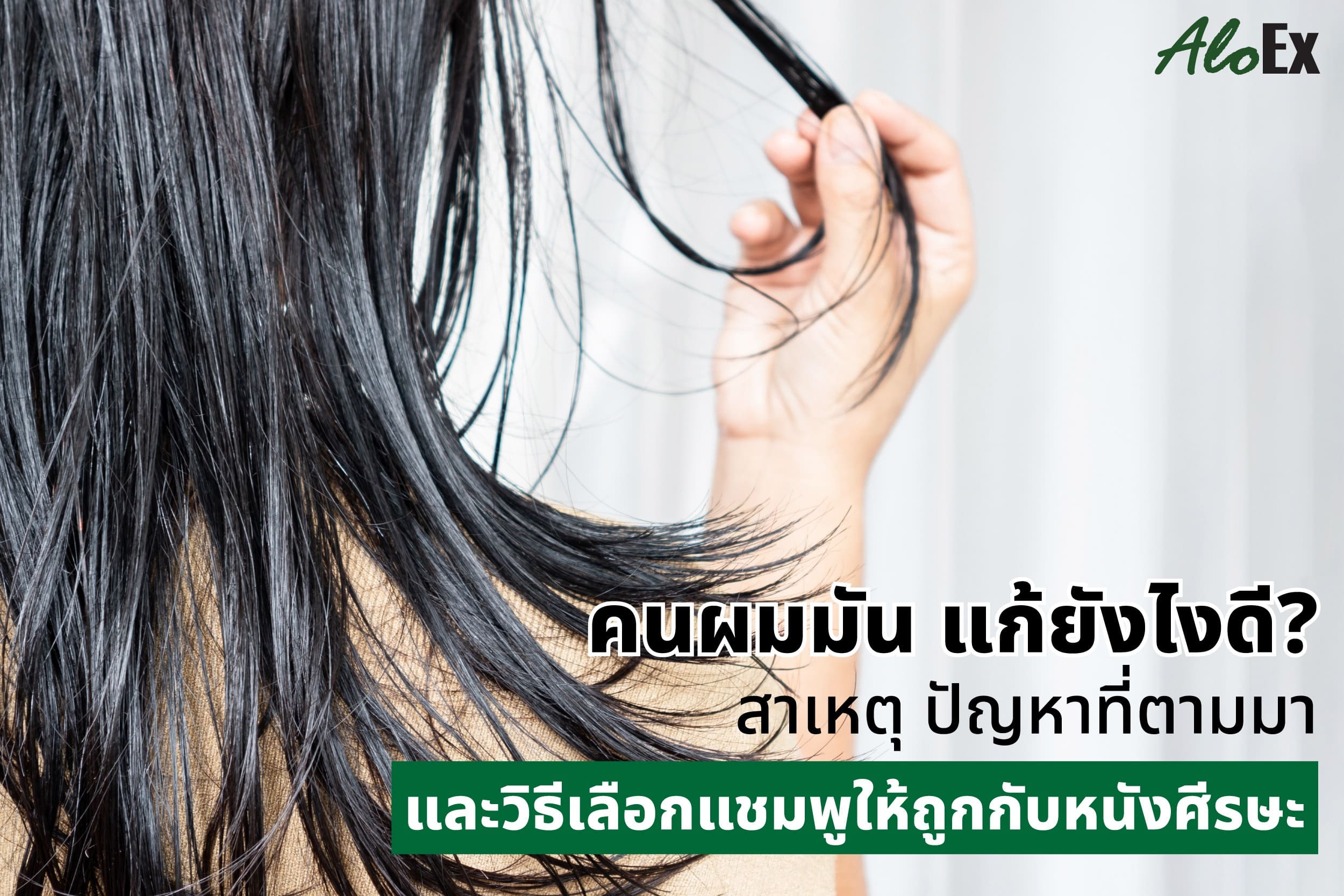 AloEx แชมพูสำหรับผมมัน