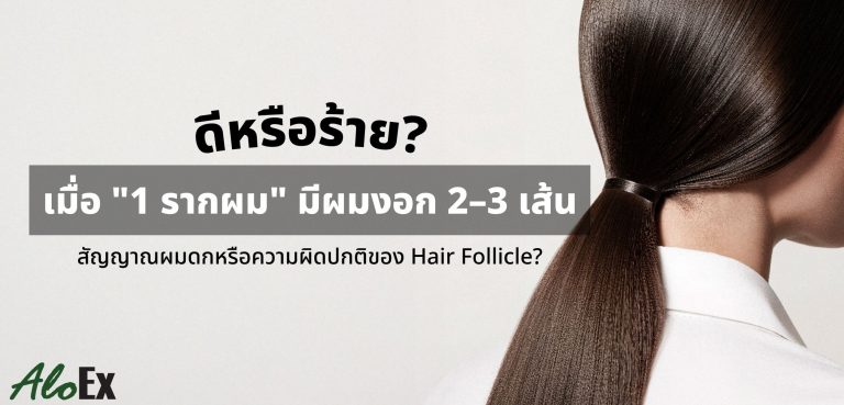 ดีหรือร้ายเมื่อ 1 รากผม มีผมงอก 2-3 เส้น