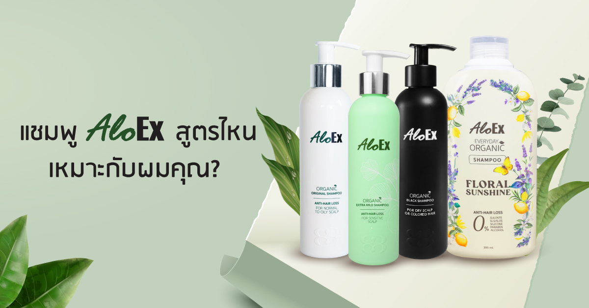 เทียบให้ชัด! แชมพูลดผมร่วง AloEx สูตรไหนที่ใช่สำหรับศีรษะและเส้นผมคุณ